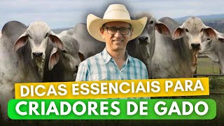 Dicas ESSENCIAIS para Criadores de Gado Como Aumentar a Qualidade e Produtividade do Rebanho [upl. by Ysset21]