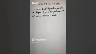 Periton nedir [upl. by Baruch341]