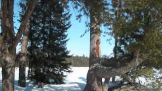 Winter Camping Angleworm Lake BWCAW [upl. by Aldon283]