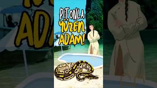 PİTONLA YUZEN ADAM [upl. by Jarlen]