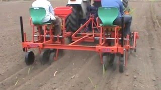 SUGARCANE TRANSPLANTER ADJUSTABLE [upl. by Enylcaj]