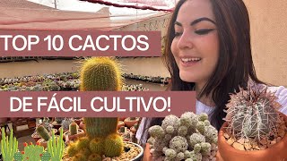 TOP 10 CACTOS DE FÁCIL CULTIVO [upl. by Ailimat]