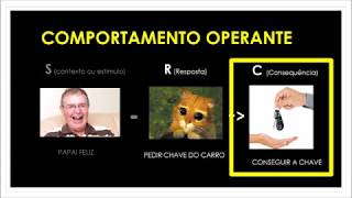 Diferença entre Comportamento Operante e Respondente [upl. by Ennairej820]