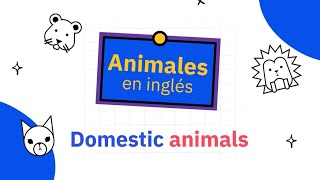 Animales domésticos en inglés [upl. by Livi72]