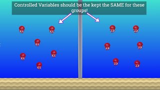 Variables in Science Independent Dependent and Controlled [upl. by Atiekahs]