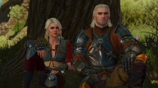 Witcher 3  Final Ending  Geralt meets Ciri the Witcher [upl. by Karl]