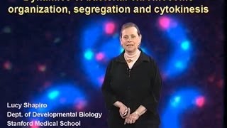 Lucy Shapiro Stanford Univ Part 1 Dynamics of the Bacterial Chromosome [upl. by Lhok]