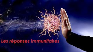 Les réponses immunitaires [upl. by Ekaj]