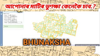 How to check Bhunaksha online Assam 2024  মাটিৰ মেপ কেনেকৈ চাব অনলাইন  ভুনক্ষা কেনেকৈ চাব [upl. by Atinele]