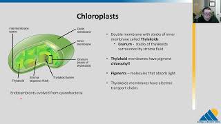 BIOL201 Ch81  Overview of Photosynthesis [upl. by Bradeord]