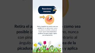 ¿Qué hacer ante una picadura de abeja [upl. by Haseena]