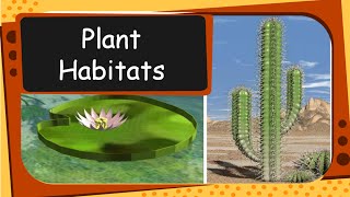 Science  Plant Habitat and adaptation  English [upl. by Xella]