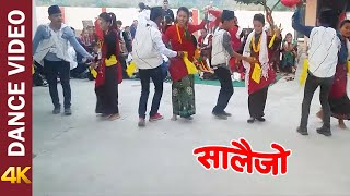 Salaijo  Best Deusi Bhailo Performance  Old Nepali Song Remastered in 4K [upl. by Kila]