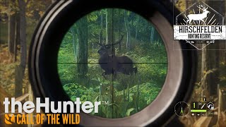 Un paseo por Hirschfelden  TheHunter Call of the Wild [upl. by Robaina]