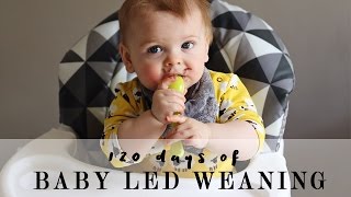 120 days of Baby Led Weaning [upl. by Dell]