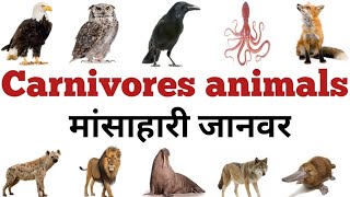 Carnivores Animals Name  मांसाहारी जानवरों के नाम   READ AND LEARN [upl. by Tiraj449]