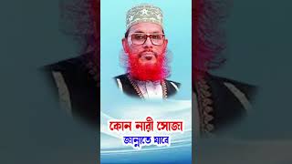 Bangla waz bangla waz  bangla wax  মাওলানা দেলোয়ার হোসাইন সাঈদী kon nari soja jannate jabe [upl. by Anialed]