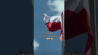 Święto Niepodległości polska poland🇵🇱 1918 victory niepodległość historia history [upl. by Ellienad527]