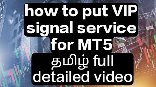 how to put Deriv VIP signal service in MT5 app full detail video Tamil in Sri Lanka [upl. by Owens892]