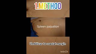 spleen palpation in traubes space medicose spleen⛑️🏥🩺💉💊 Sudarshanlipane17 [upl. by Ialohcin122]