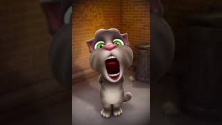 Talking Tom Scream high pitched 2 [upl. by Saimon]