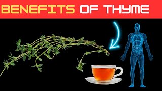 What is the Benefit of Thyme Tea [upl. by Coben903]