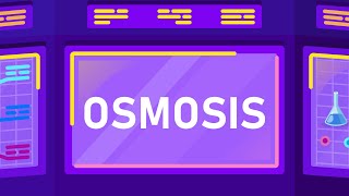 What is Osmosis [upl. by Naoma224]