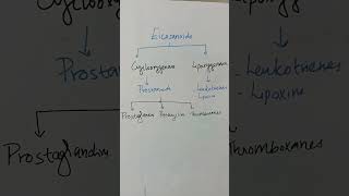 Eicosanoidsprostaglandin biochemistry [upl. by Edwine]