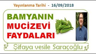 BAMYANIN MUCİZEVİ FAYDALARI  Şifaya vesile Saraçoğlu [upl. by Aihtennek]