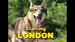 Littlest Hobo Maybe Tomorrow theme song [upl. by Elimaj]