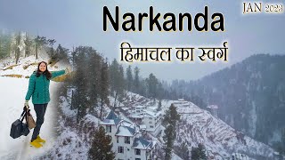 Narkanda  Most Beautiful Place Near Shimla Kufri HimachalTethys Himalaya NarkandaSnowfall 2023 [upl. by Isola]