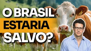 SALLES DETONA Se o Brasil fosse todo AGRO estava SALVO PESQUISAS revelam FORÇA da DIREITA no MT [upl. by Llednol]