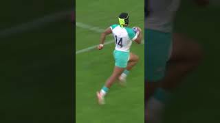 KURTLEE ARENDSE try vs SCOTLAND tho🔥🔥🇿🇦 rugby rsa bokke springboks shortsvideo shortsfeed [upl. by Ennaeilsel]