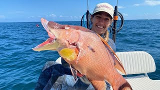 Spearfishing Hogfish in South Florida [upl. by Bonn918]