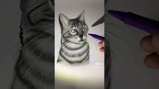 Karakalem ile kedi çizimi How do draw a cute cat Ilkay art  shorts drawing pencilart [upl. by Traweek]