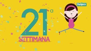 21° settimana di gravidanza [upl. by Xerxes]