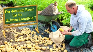 Garten im Juli  Frühkartoffel Solist [upl. by Oilenroc]