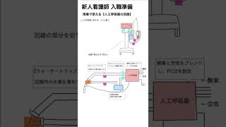 新人看護師入職準備 現場で使える【人工呼吸器の回路】看護学生 看護師 新人看護師 勉強 医療 [upl. by Allcot]