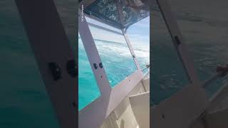 Horror Moment Tourist Ferry Sinks In The Bahamas  10 News First [upl. by Emyaj96]