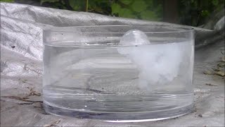 Alkaline Earth Metals In Water  Interesting Chemical Reaction  SCIENCE [upl. by Essilem294]