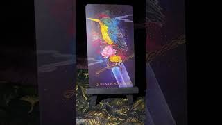 ASMR Tarot Card of the Day Pull Oriens Animal Tarot [upl. by Assele]