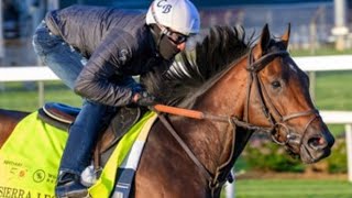 Jim Dandy Stakes Preview 2024 [upl. by Simson]