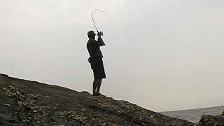 Eging for Bigfin Reef Squid [upl. by Ruel]