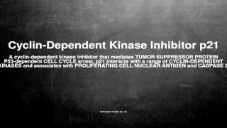 Medical vocabulary What does CyclinDependent Kinase Inhibitor p21 mean [upl. by Ikcin357]