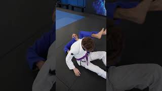 Rolling Omoplata series🔥 jiujitsu [upl. by Zanlog]