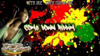 Come Down Riddim Dancehall  90s style 2009  Mix By Floer [upl. by Iror646]