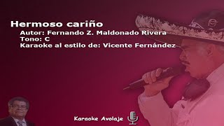 Hermoso cariño Vicente Fernández Karaoke Tono C con 2da [upl. by Llerral]