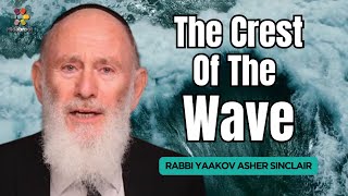 Living On The Crest Of The Wave  Parshat Noach  Rabbi Yaakov Asher Sinclair [upl. by Salmon]