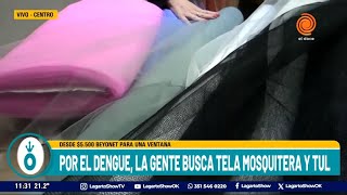 Por DENGUE la gente busca protegerse con tela mosquitera y tul [upl. by Ennylcaj523]