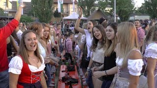 Die Partyfürsten  AltmainWeinfest Sand am Main 2018 [upl. by Normy173]